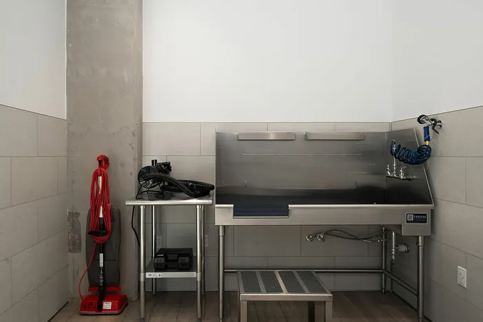 Modern utility room featuring sleek stainless steel dog wash station, perfect for pet-friendly living.
