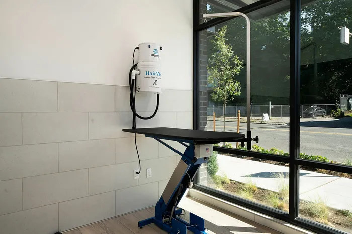 Modern pet grooming station in bright room with sleek design and large window view.
