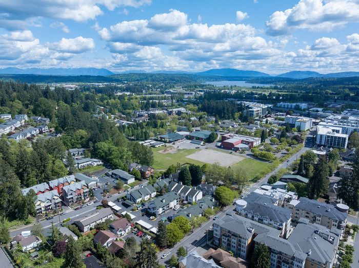 Charming aerial view of a picturesque suburban neighborhood surrounded by lush greenery and scenic mountain vistas.