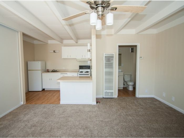 Updated Studio with plush carpet, open floor plan,breakfast bar and contemporary lighting