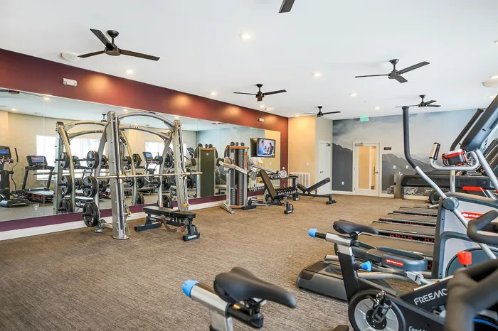 Fitness Center | Livery