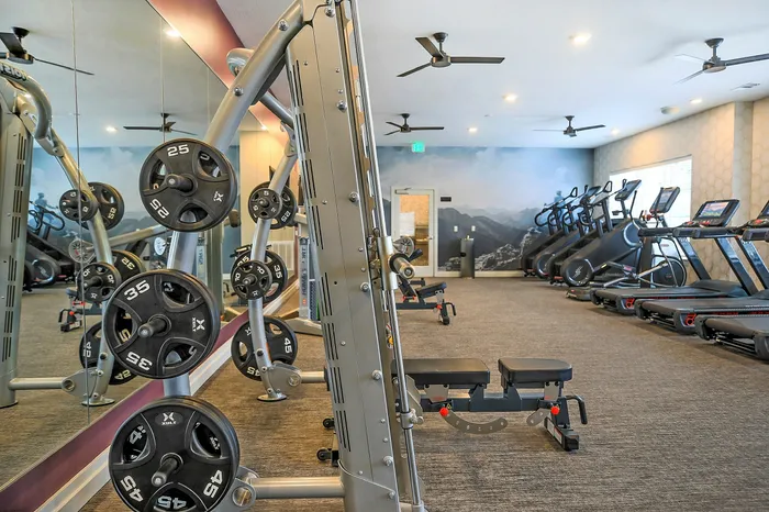 Fitness Center | Livery