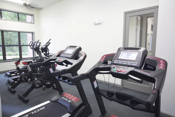Modern gym with state-of-the-art treadmills and exercise bikes, well-lit space with large windows.