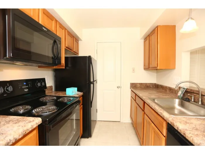 Sleek Black Appliances available in some units