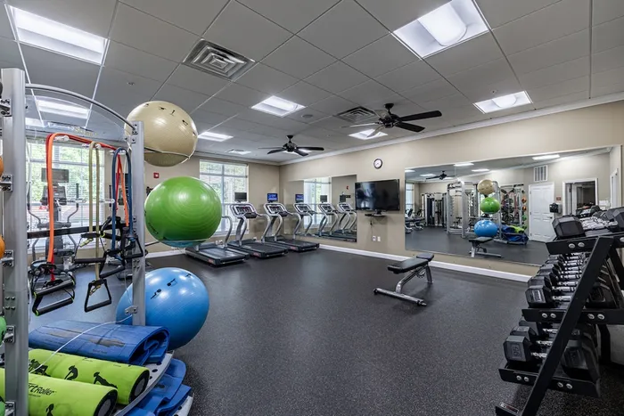 Modern fitness center featuring state-of-the-art gym equipment, vibrant exercise balls, and sleek treadmills in a spacious, well-lit room.