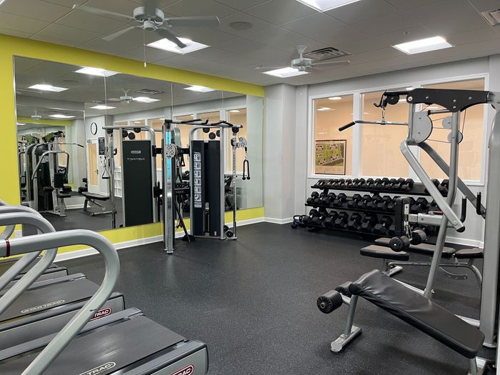 Modern gym with state-of-the-art equipment including treadmills, weight machines, and free weights, surrounded by bright and inviting decor.