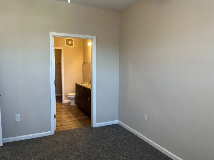 Inviting bedroom with cozy carpet flooring leading into a modern en-suite bathroom featuring sleek cabinetry and warm lighting.