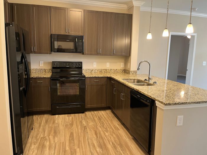 Modern kitchen with elegant granite countertops, sleek dark cabinetry, and premium appliances creating a sophisticated cooking space.
