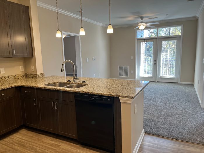Elegant kitchen and living area with granite countertops, modern cabinetry, and natural light from large windows and French doors.