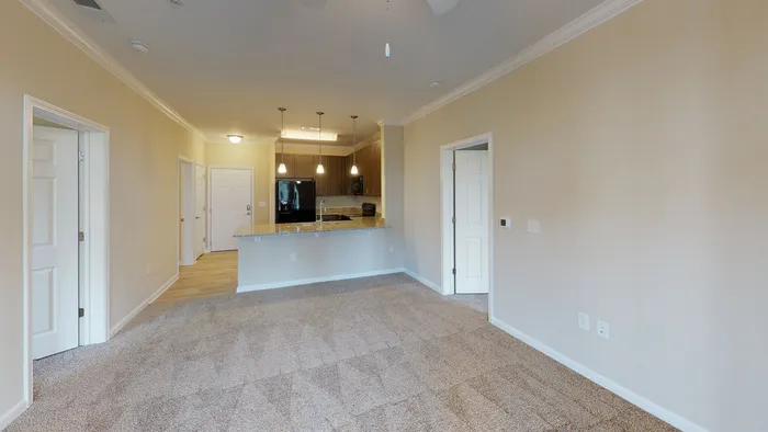 Inviting apartment interior featuring a spacious carpeted living area with open-concept kitchen, elegant granite countertops, and modern pendant lighting.