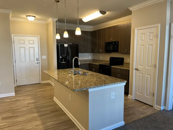Modern kitchen featuring granite countertops, stylish pendant lights, and sleek black appliances.
