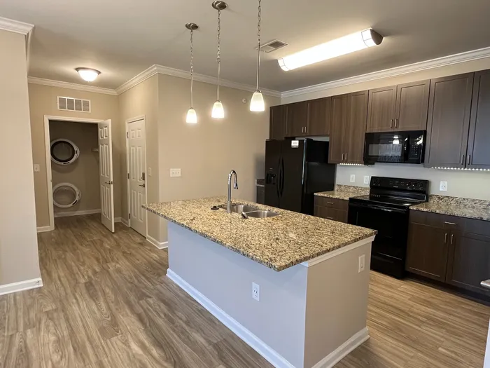 Modern kitchen with granite countertops, sleek wooden cabinets, and built-in appliances in a sunlit, open-concept design.