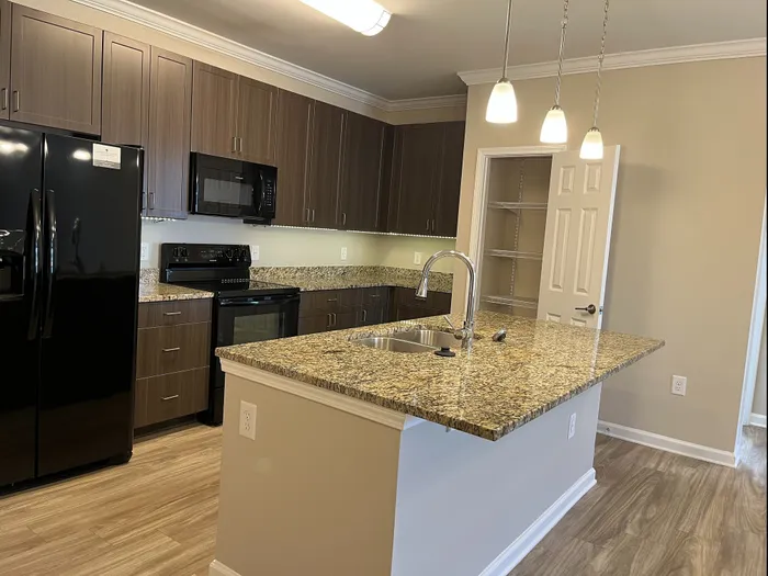 Modern kitchen with granite countertops, sleek black appliances, and stylish pendant lighting, perfect for culinary creativity.