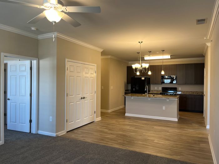 Elegant open-concept living space with sleek kitchen, modern lighting, and cozy carpeted area.