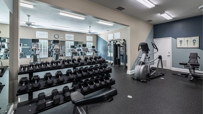 Modern fitness center equipped with treadmills, strength machines, and free weights, offering a sleek and inviting workout space.