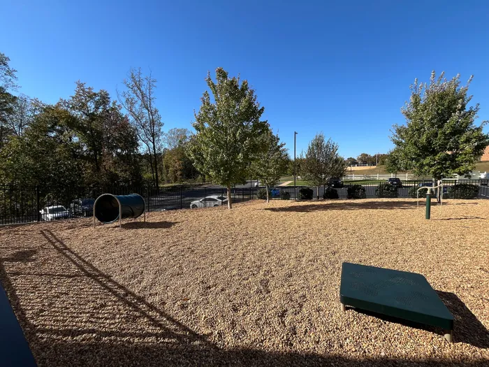 Inviting outdoor dog park with agility equipment surrounded by lush greenery and a clear blue sky, perfect for pet-friendly living.