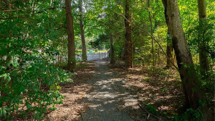 Inviting woodland trail leading to a quaint white picket fence, surrounded by lush greenery and dappled sunlight.