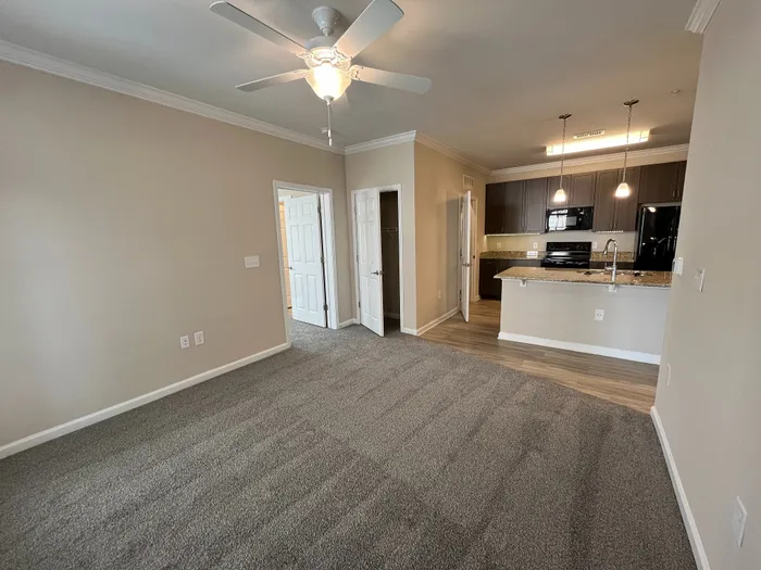 Inviting open-concept apartment featuring plush carpeted living space, modern kitchen with granite countertops, and elegant lighting.