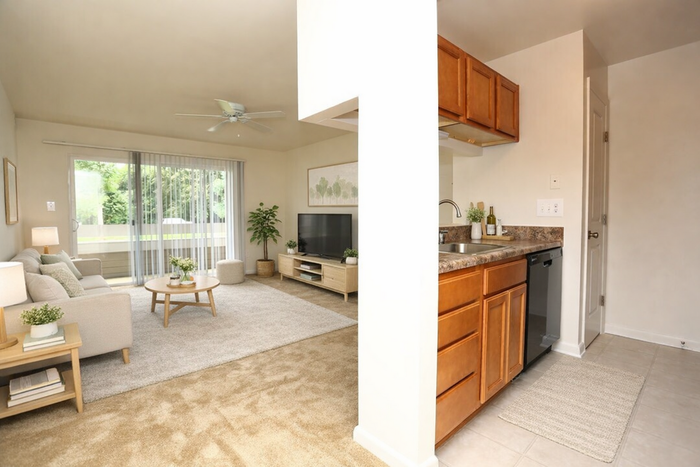Bright and inviting apartment living room with plush carpeting, cozy seating area, and sleek kitchen with modern cabinetry.
