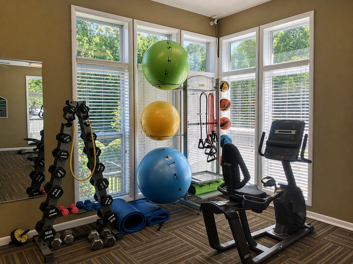 Bright and inviting gym with large windows, featuring a variety of exercise equipment including a treadmill, free weights, and stability balls, perfect for fitness enthusiasts.