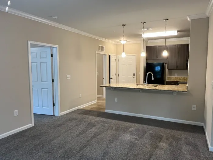 Chic open-concept apartment showcasing a modern kitchen with stylish pendant lighting and gleaming countertops, leading to a cozy carpeted living area.