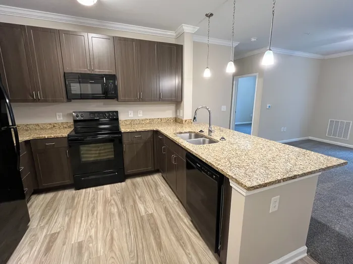 Elegant open-concept kitchen with sleek granite countertops, modern appliances, and stylish wooden cabinetry.
