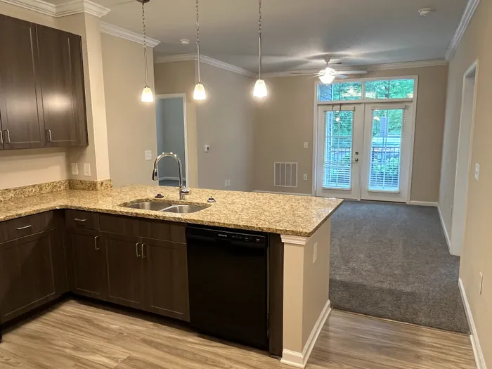 Modern apartment with an inviting open-concept kitchen featuring elegant granite countertops, warm wood cabinetry, and a bright living area with large French doors opening to the outside.