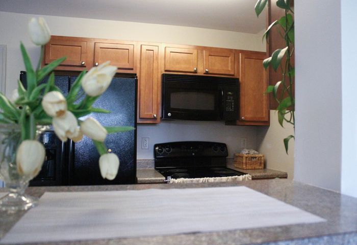 Inviting kitchen with stainless steel appliances, warm wooden cabinets, and lush greenery, creating a cozy ambiance.