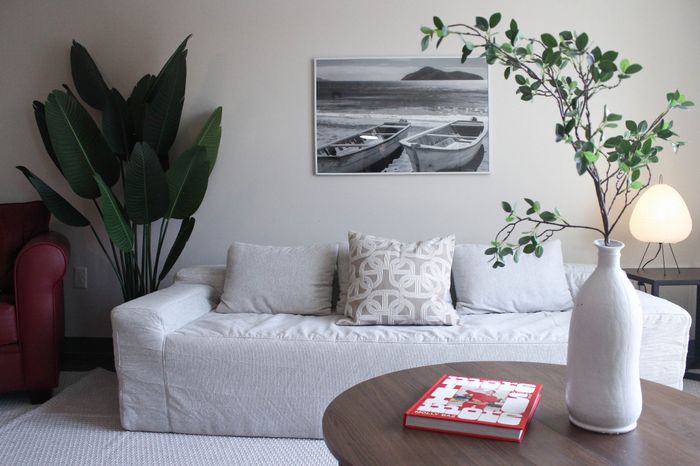 Chic living room with a cozy white sofa, stylish pillows, vibrant green plants, and a contemporary table lamp creating a serene ambiance.