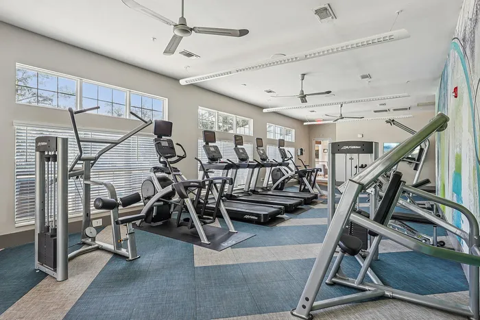 Contemporary gym with modern fitness equipment, sleek treadmills, and abundant natural light streaming through large windows.