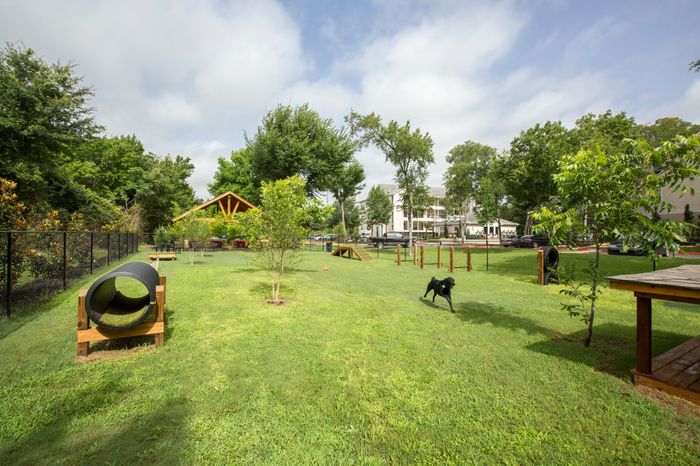 Dog Park