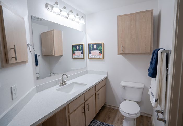 Bathroom View