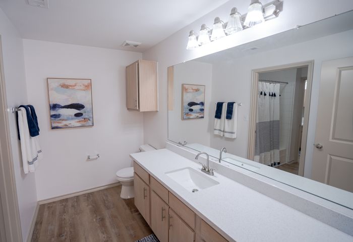Bathroom View