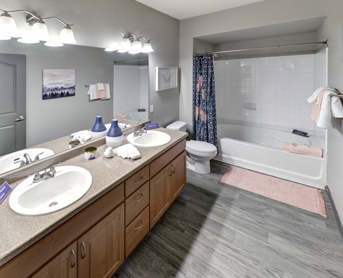 Coldwater Springs Bathroom