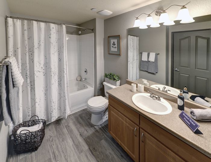 Coldwater Springs Bathroom