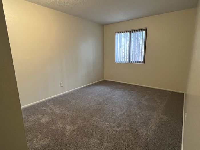 Skyline Lofts Three Bedroom Plush Carpeting
