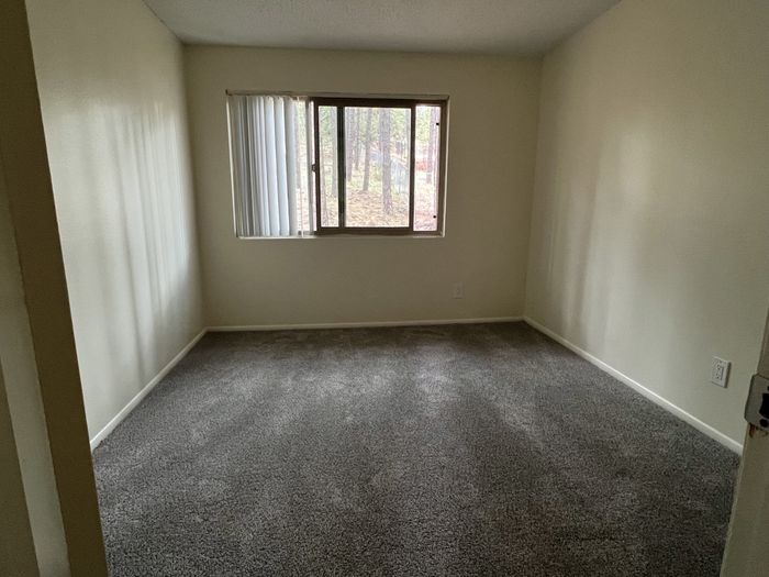 Skyline Lofts Three Bedroom Plush Carpeting
