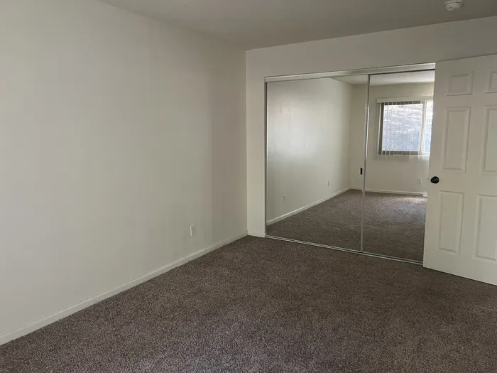 Skyline Lofts Two Bedroom Plush Carpeting