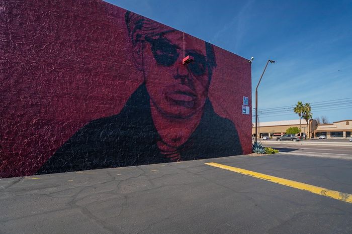 The Warhol Mural
