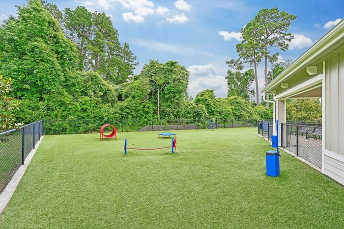 Dog Park