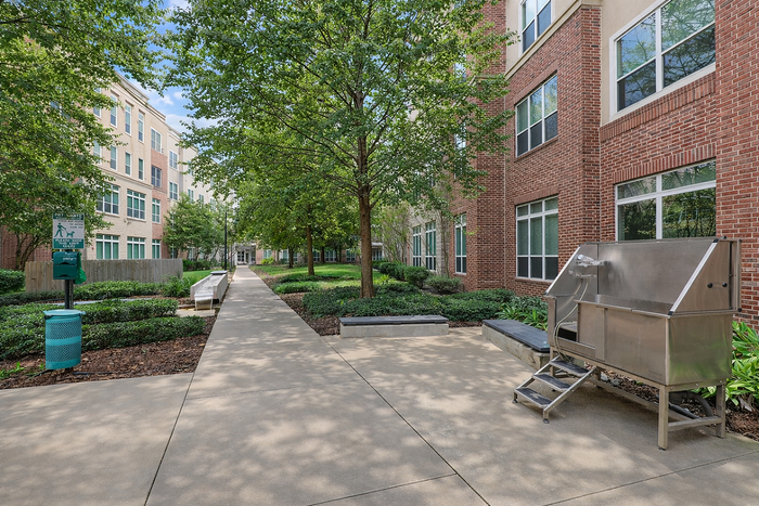 Dog Spa at The District at Washington Apartments in Houston, TExas