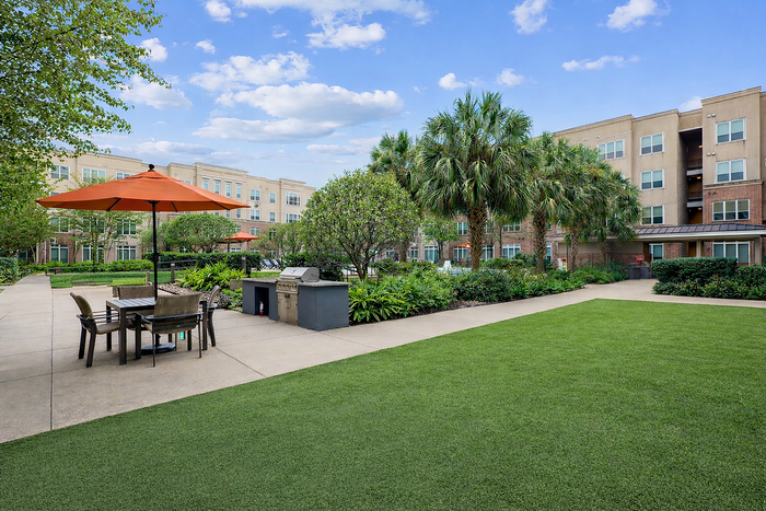 Outdoor Grilling Area at The District at Washington Apartments in Houston, TExas