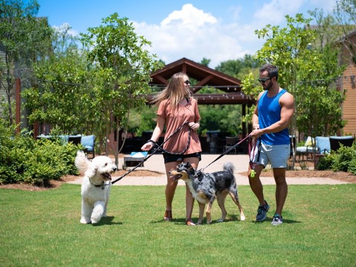 Pet-friendly community at Eagle Flatts Apartments in Hattiesburg, MS, with residents enjoying time with their dogs outdoors.