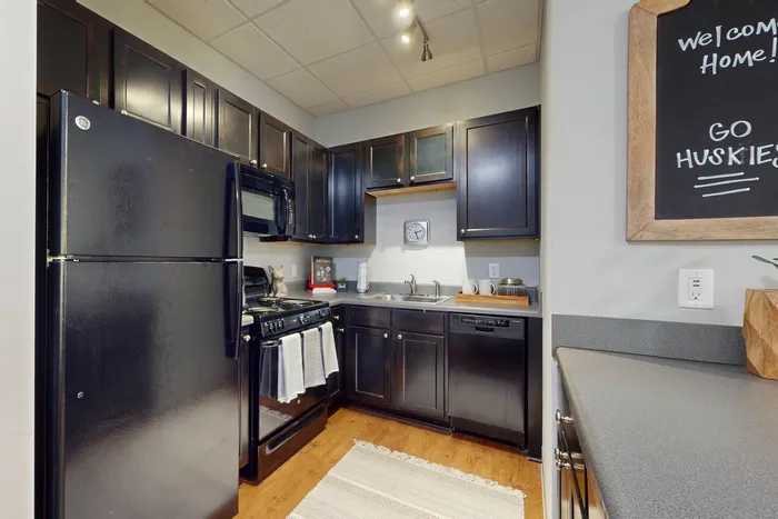 Modern kitchen with wood-style flooring, black appliances, and cabinets in University Plaza student apartments near NIU
