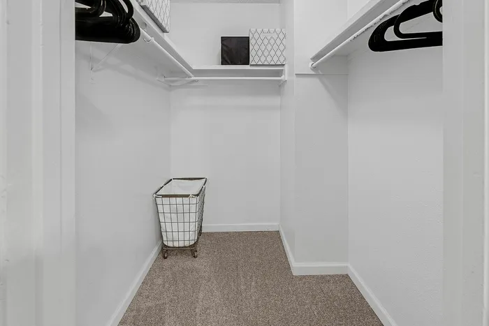 Spacious walk-in closet