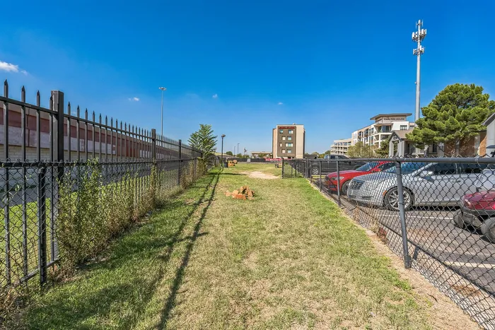 Fenced in dog park