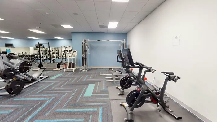 Contemporary fitness center with modern exercise bikes, free weights, and strength training equipment against a stylish blue wall.