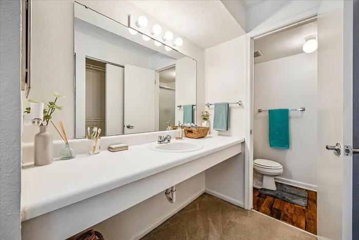 Elegant bathroom with modern vanity, stylish lighting, and chic decor accents.