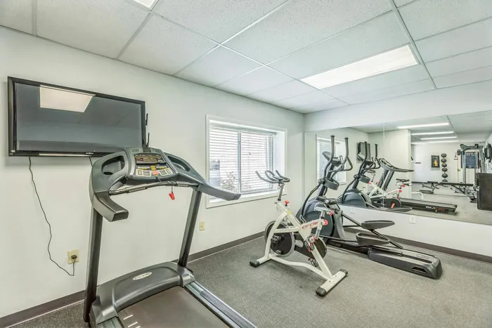 Bright and inviting fitness center with modern equipment including treadmill, stationary bike, and elliptical machine, complemented by natural light and mirrored wall.