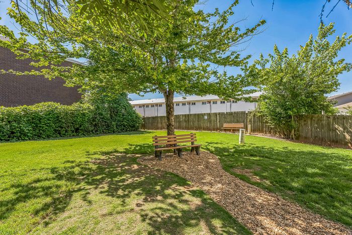 Serene outdoor area with lush green grass, a charming wooden bench under a large tree, and a peaceful gravel path in a fenced backyard.